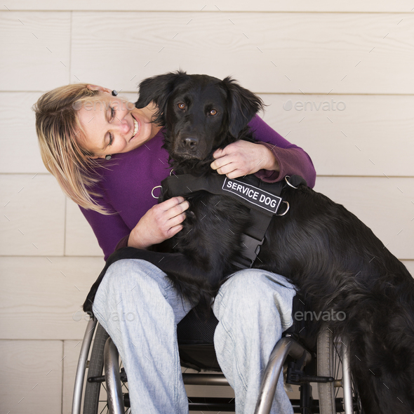 A wheelchair user with her service assistance dog, a black labrador
