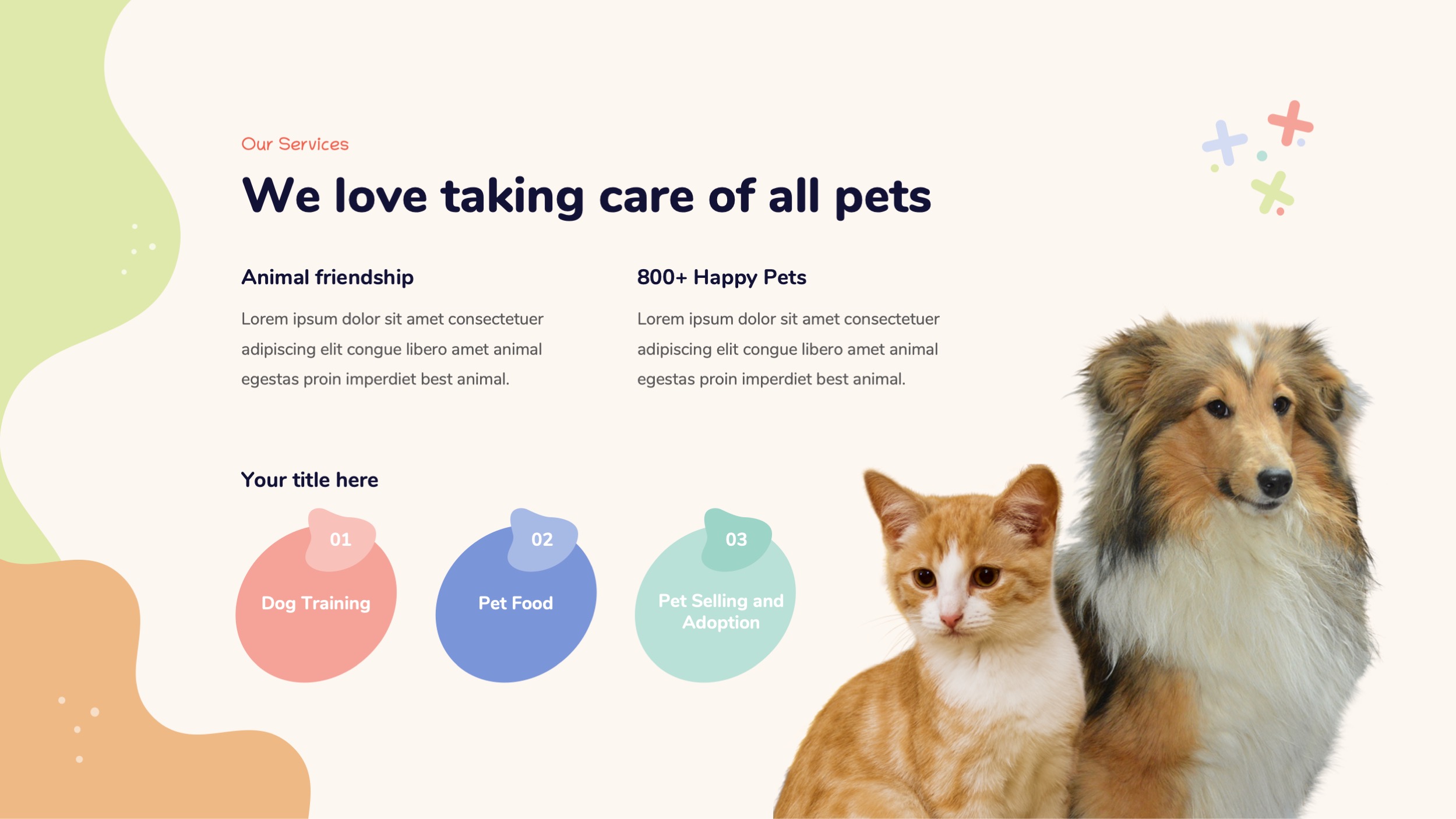 Pet Care & Veterinary PowerPoint Template, Presentation Templates