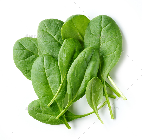 fresh green spinach leaves Stock Photo by magone PhotoDune