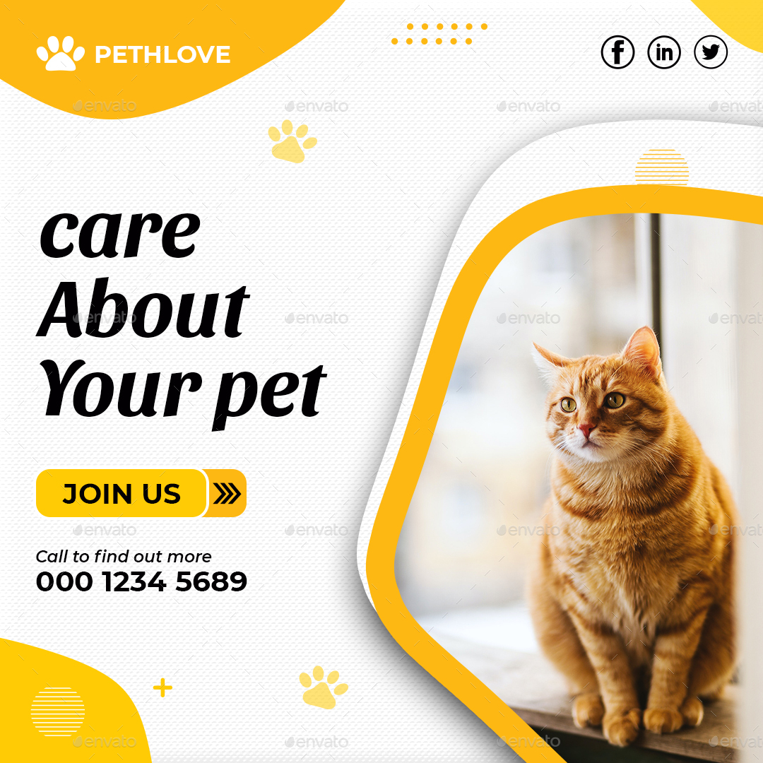 Pet Care Instagram Post Template by Creative_I_official GraphicRiver