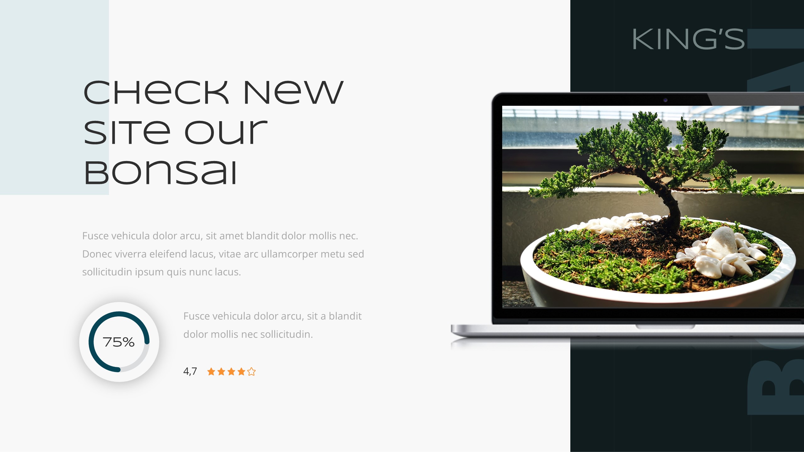 Bonsai Tree & Garden Keynote Template, Presentation Templates