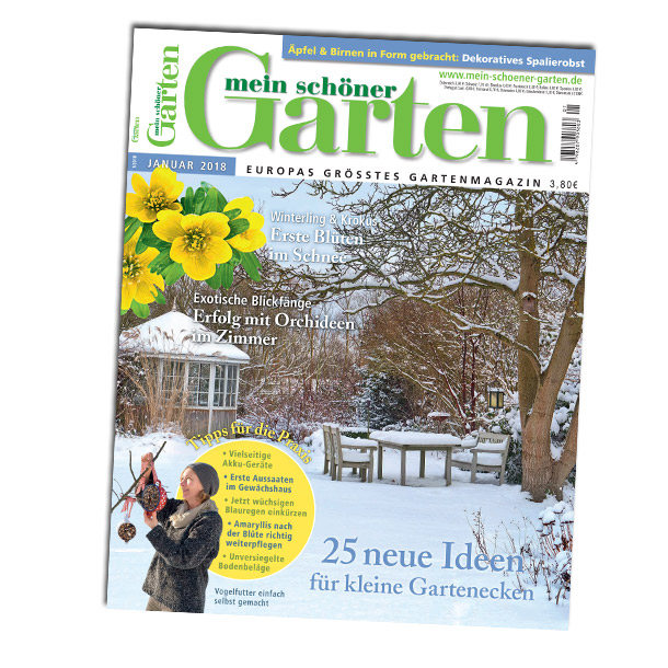 Jetzt das MEIN SCHÖNER GARTEN Fanpaket gewinnen!