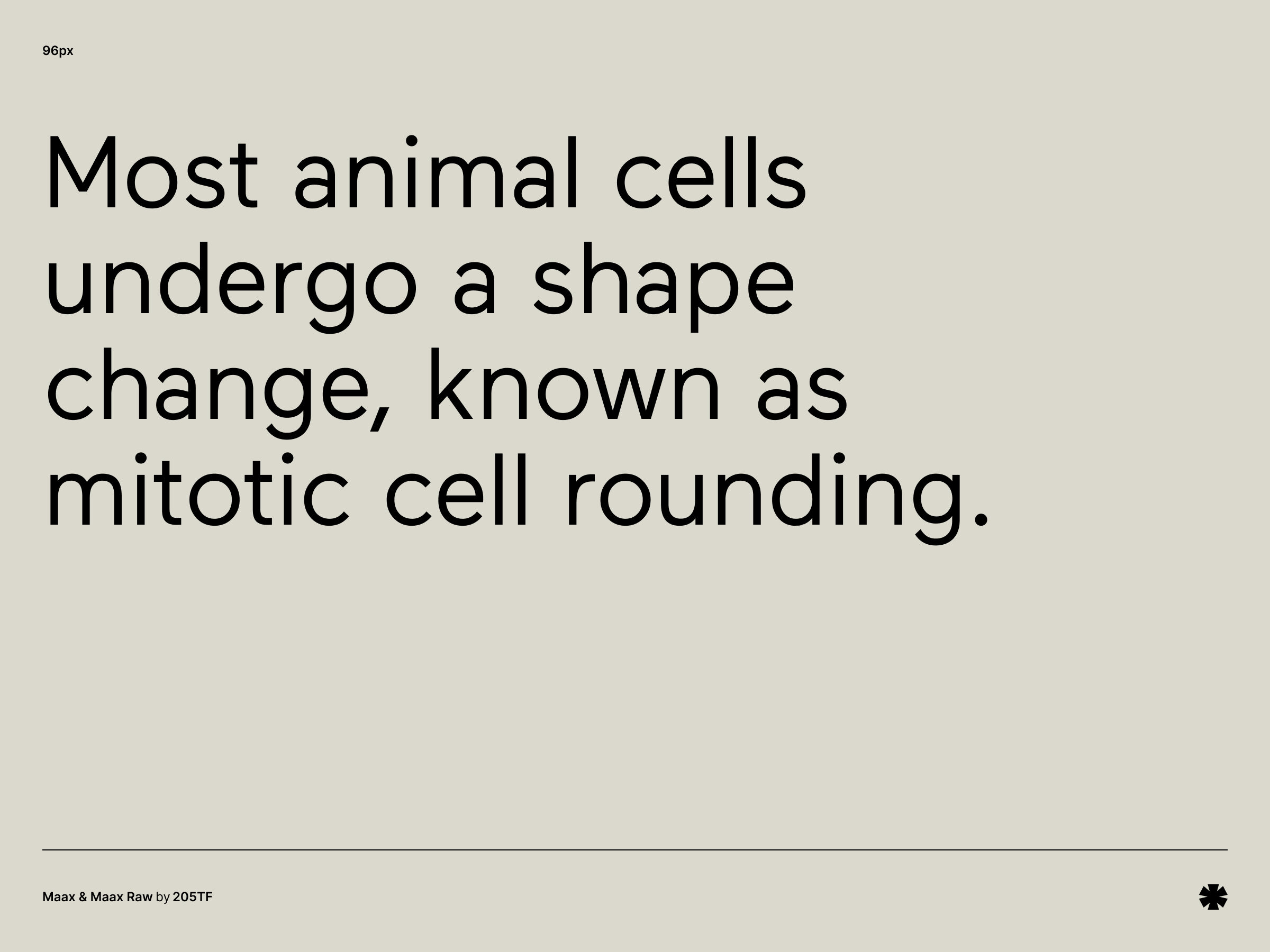 Maax & Maax Raw by 205TF