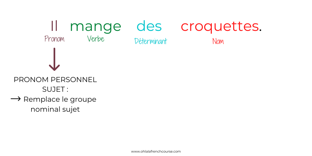 Quand utiliser les pronoms Y et EN en français