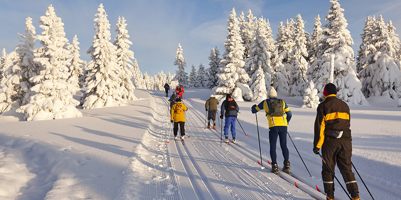 Ravage Humoristique exégèse sejour ski de fond tissu Verger Carotte