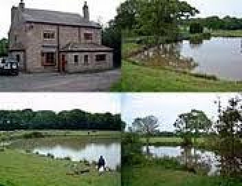 FishAdviser Hall Farm, Mill Road, Burgh Castle, NR31 9, Norfolk