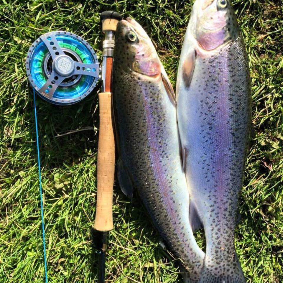 FishAdviser Sharpley Springs Fly Fishery, Old Burdon Farm, B1404