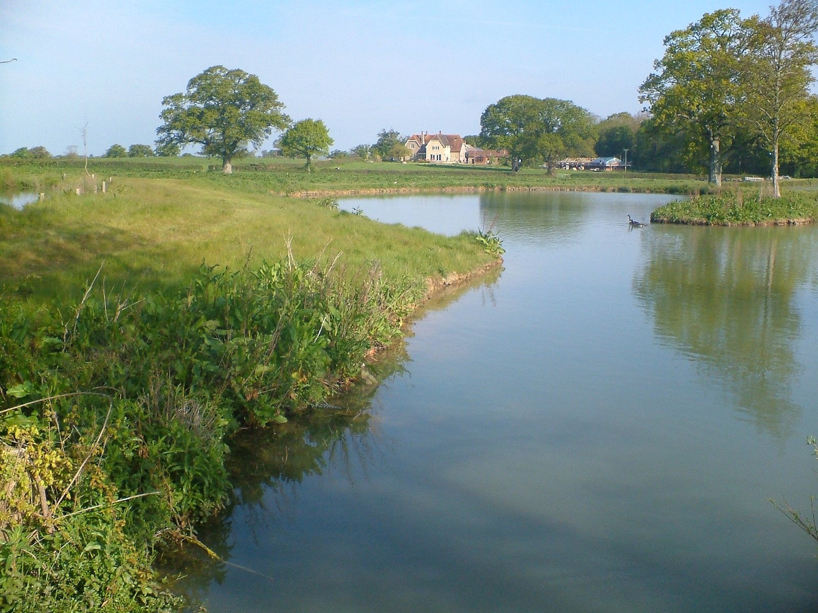 FishAdviser Dairy House Farm Fisheries, Dairy House Farm, Woolland