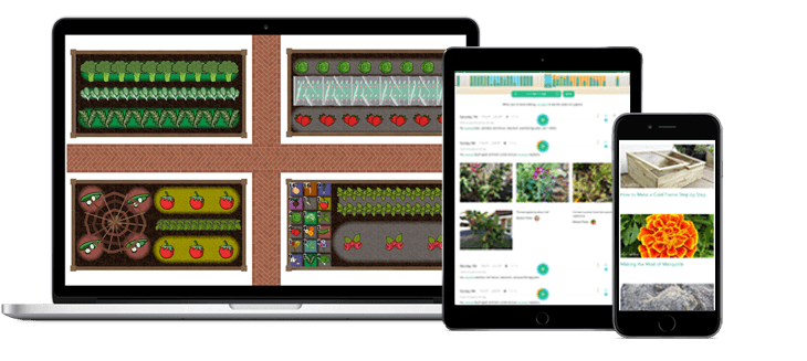Garden Plan My Vegetable Garden