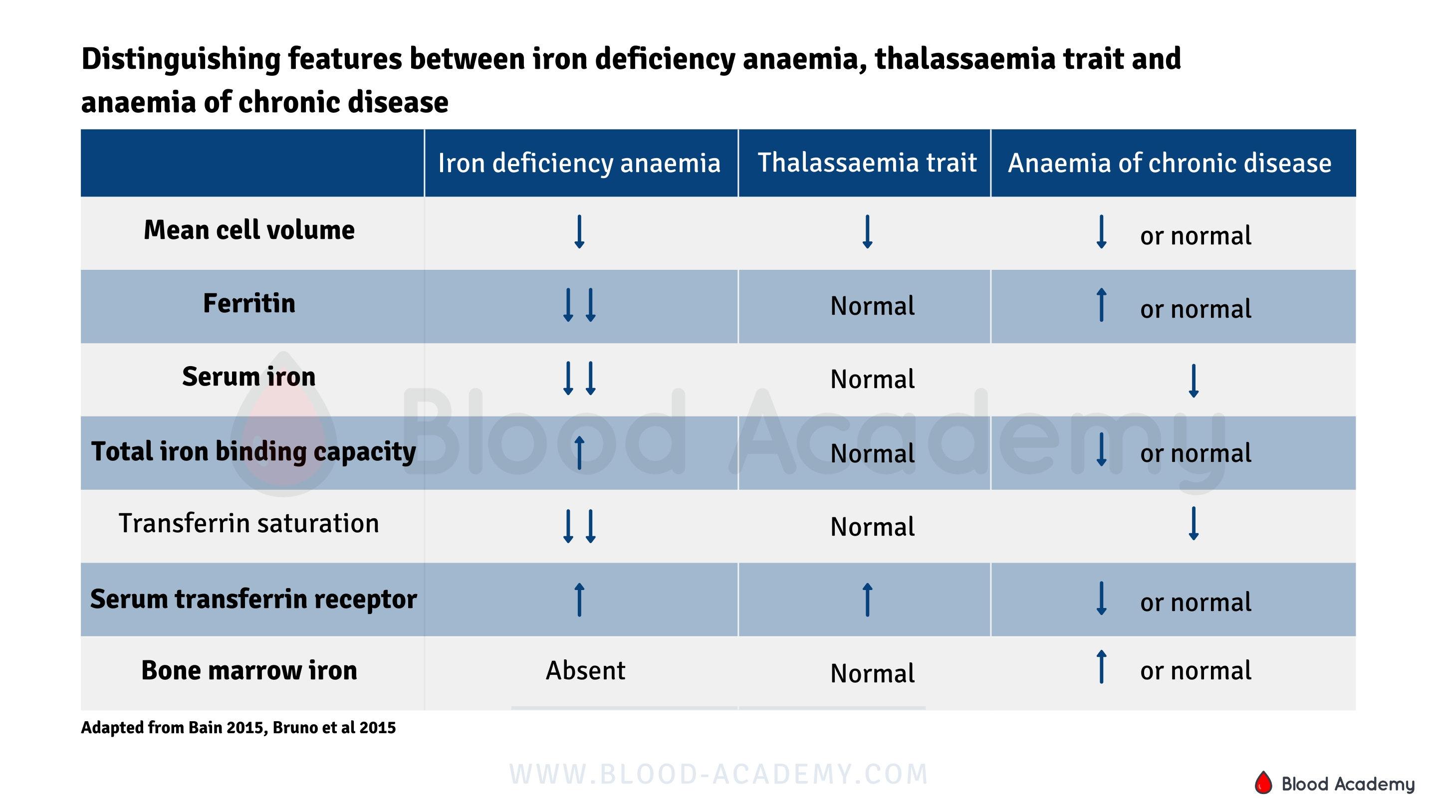 Distinguishing features between iron deficiency anaemia, thalassaemia