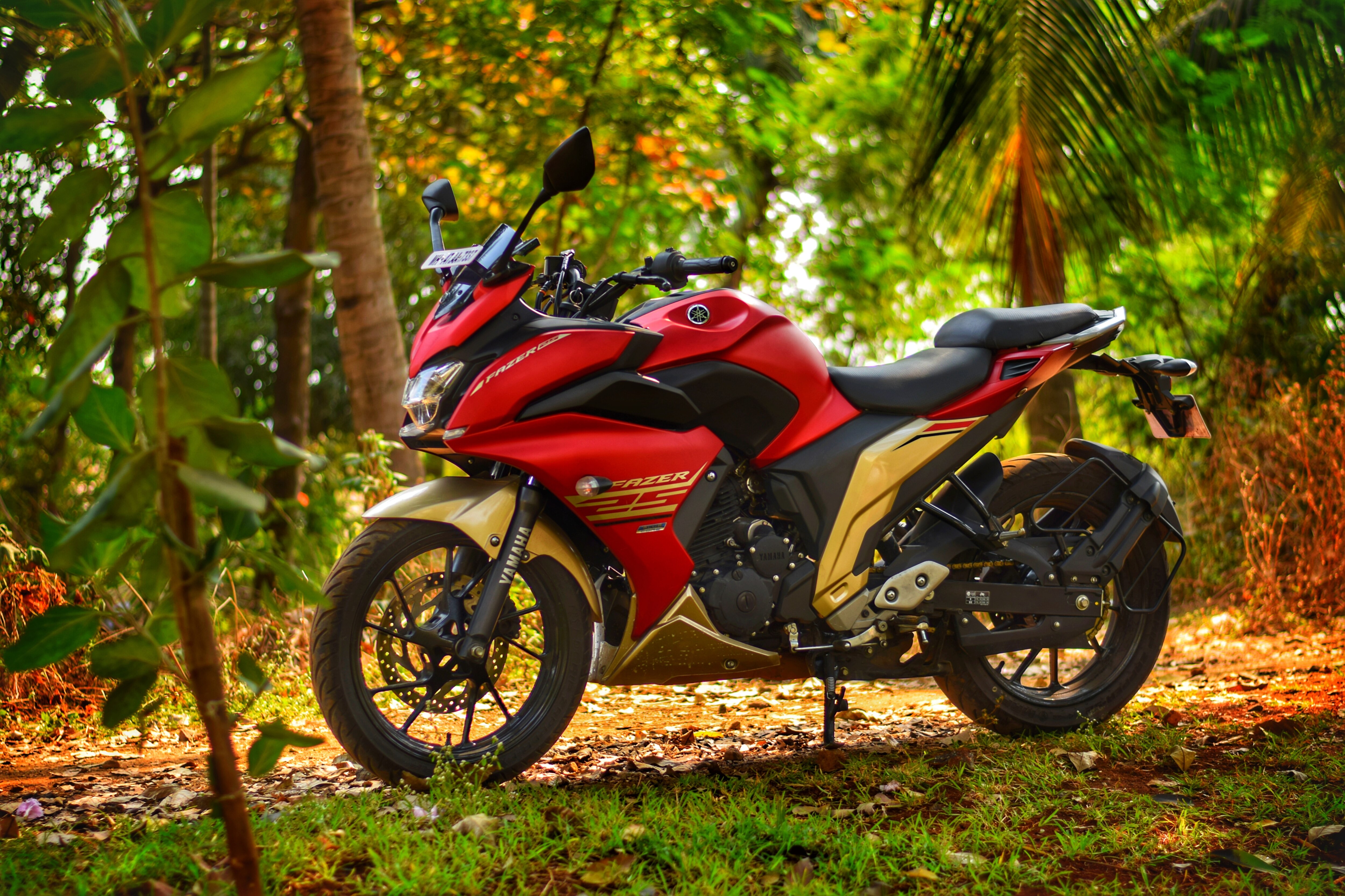 23,897 Units of Yamaha FZ 25 and Fazer 25 Recalled in India Find New