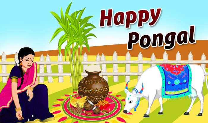 pongal festival 2023 in tamil nadu Pongal 2017 Importance and Significance of the 4 day traditional South