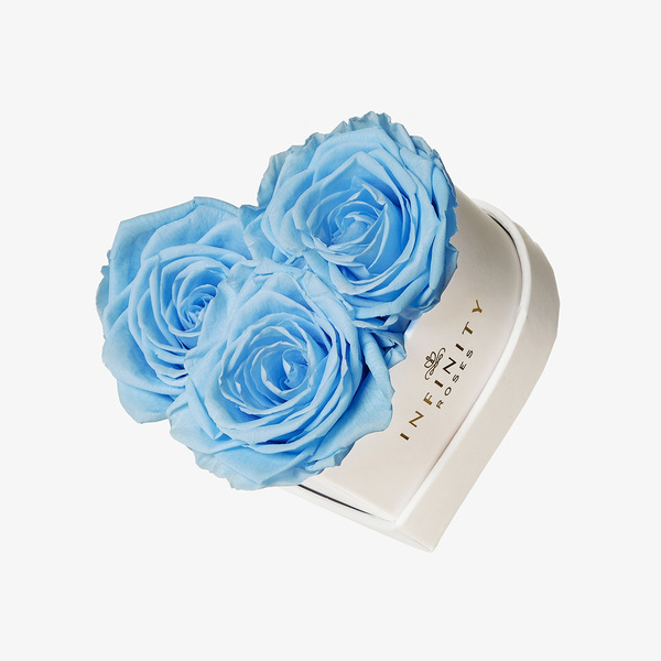 3 Baby Blue Preserved Roses in White Heart Box Infinity Roses
