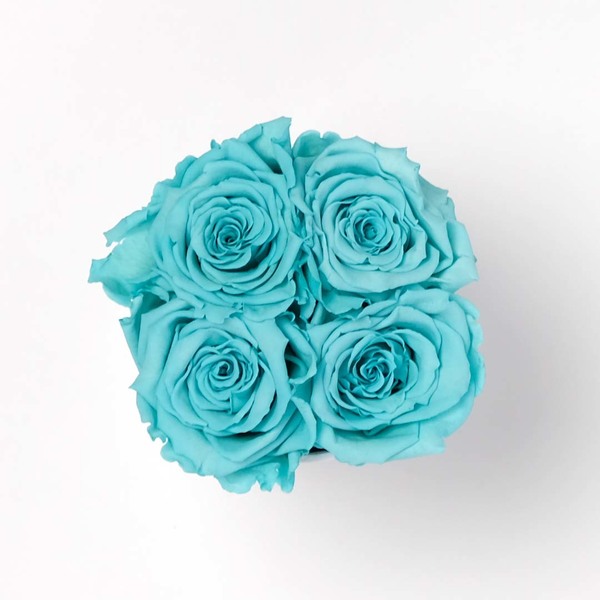 4 Preserved Tiffany Blue Roses in White Box Infinity Roses