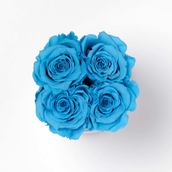 4 Baby Blue Preserved Roses in White Box Infinity Roses