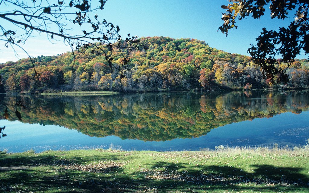 Five Nearby Canoe Adventures for the CityWeary Chicagoan InsideHook