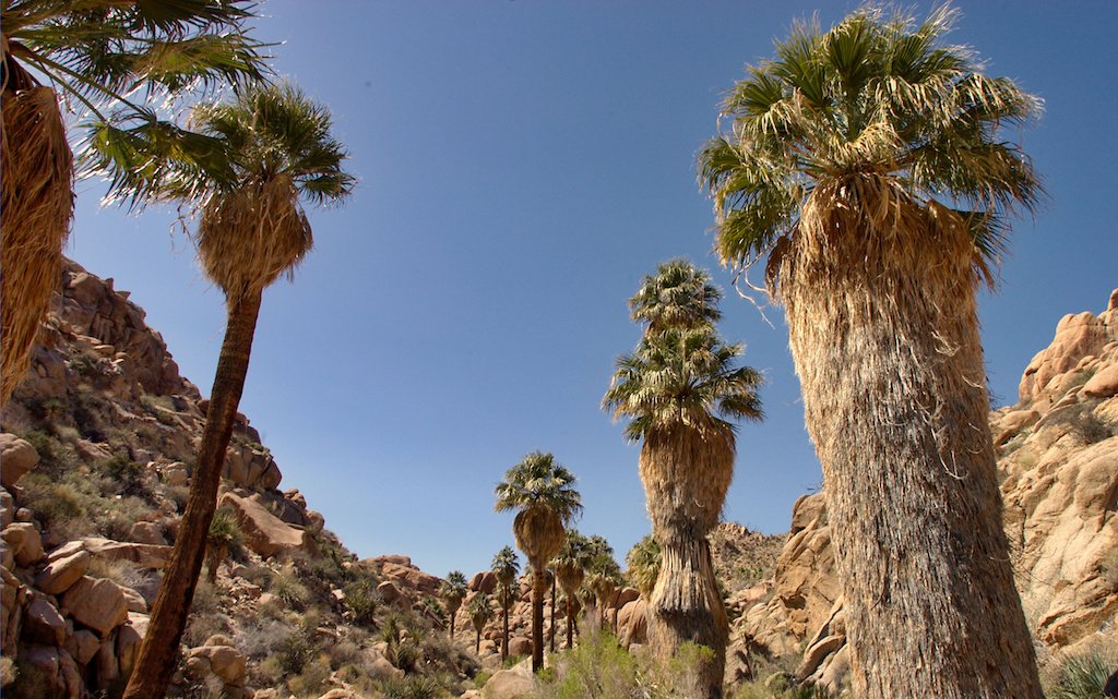 The 52 Best Hikes in California InsideHook