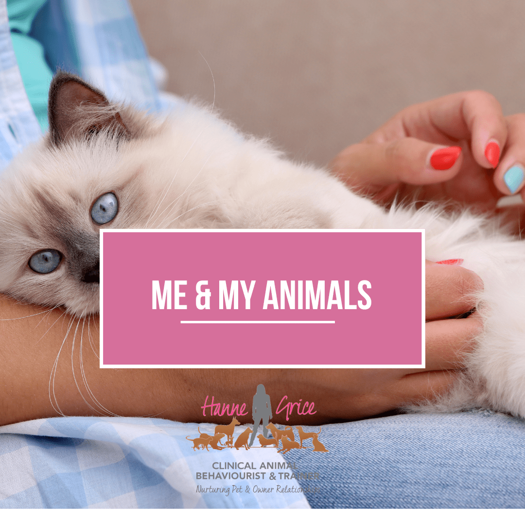 Human Behaviour Change for Animal Professionals