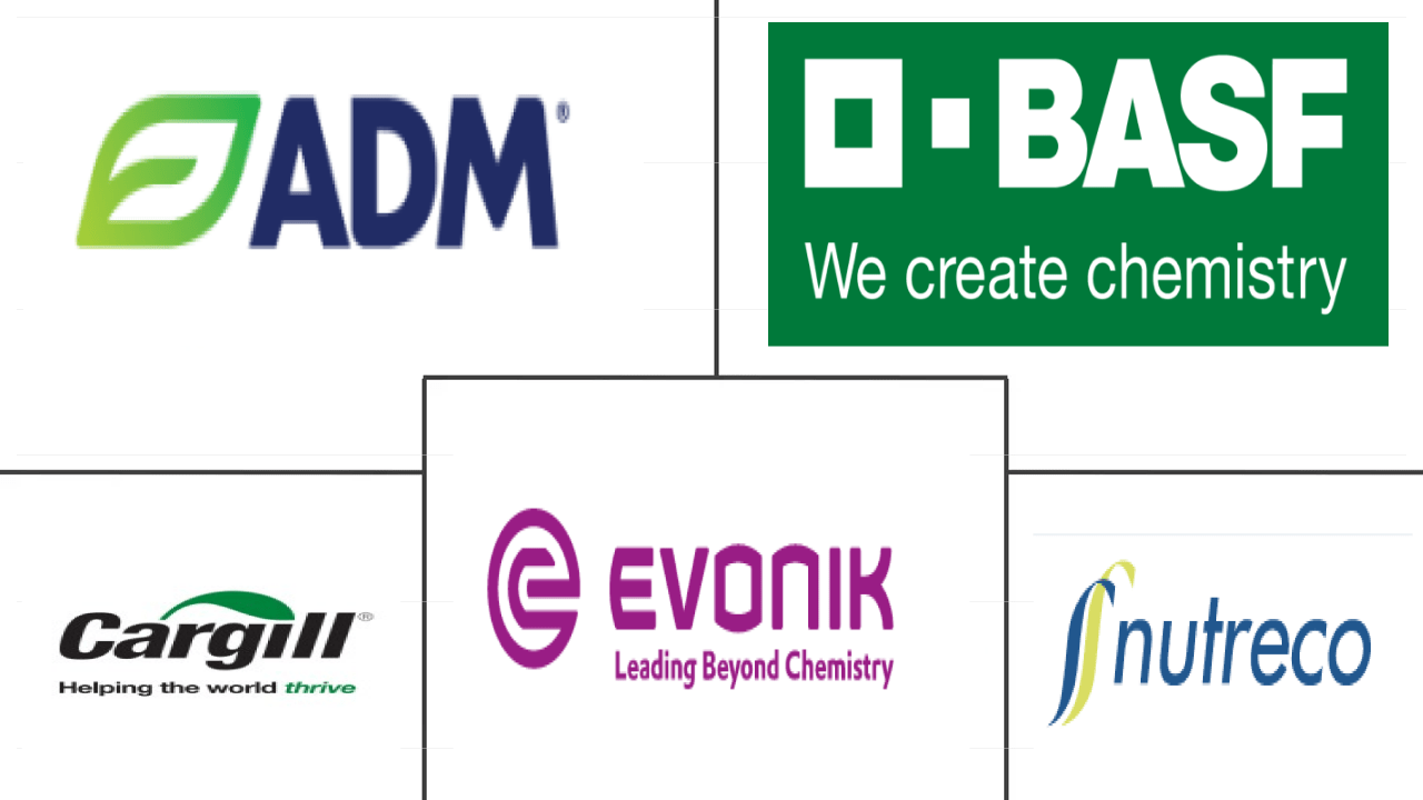 Europe Feed Additives Market Companies & Manufacturers