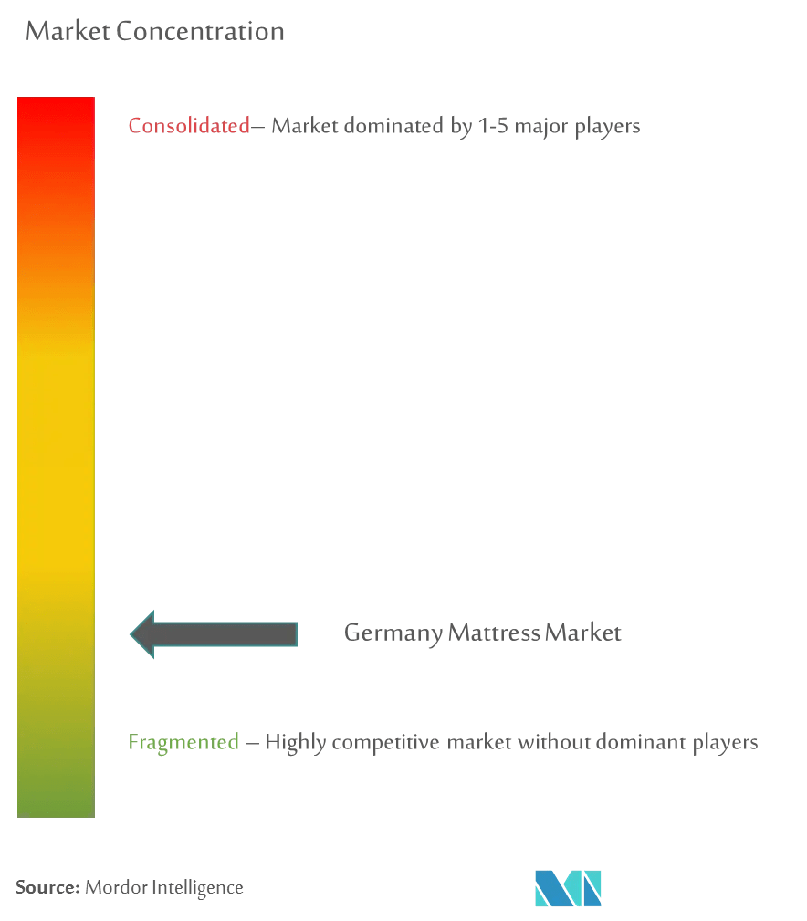 Germany Mattress Companies Top Company List