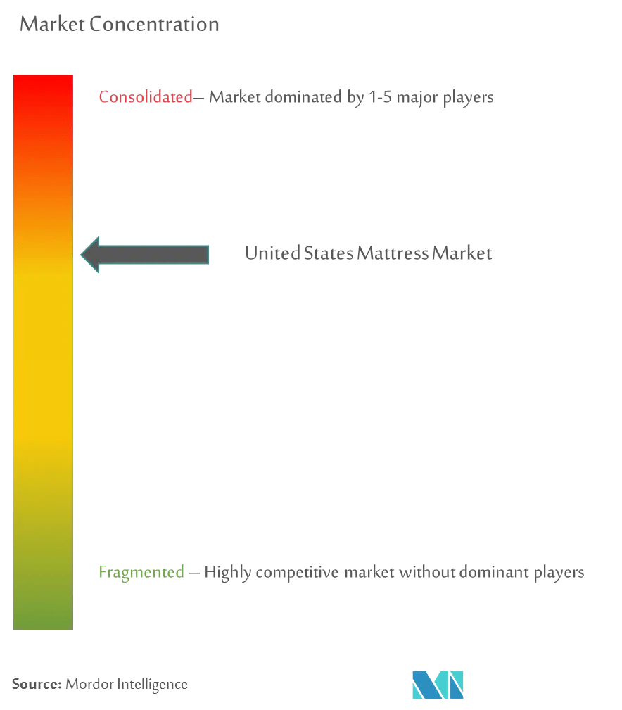 US Mattress Market Size & Share by Brand