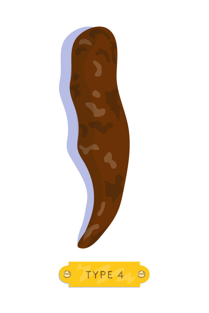 Types Of Poop Meaning Stool Color, Shape, Consistency