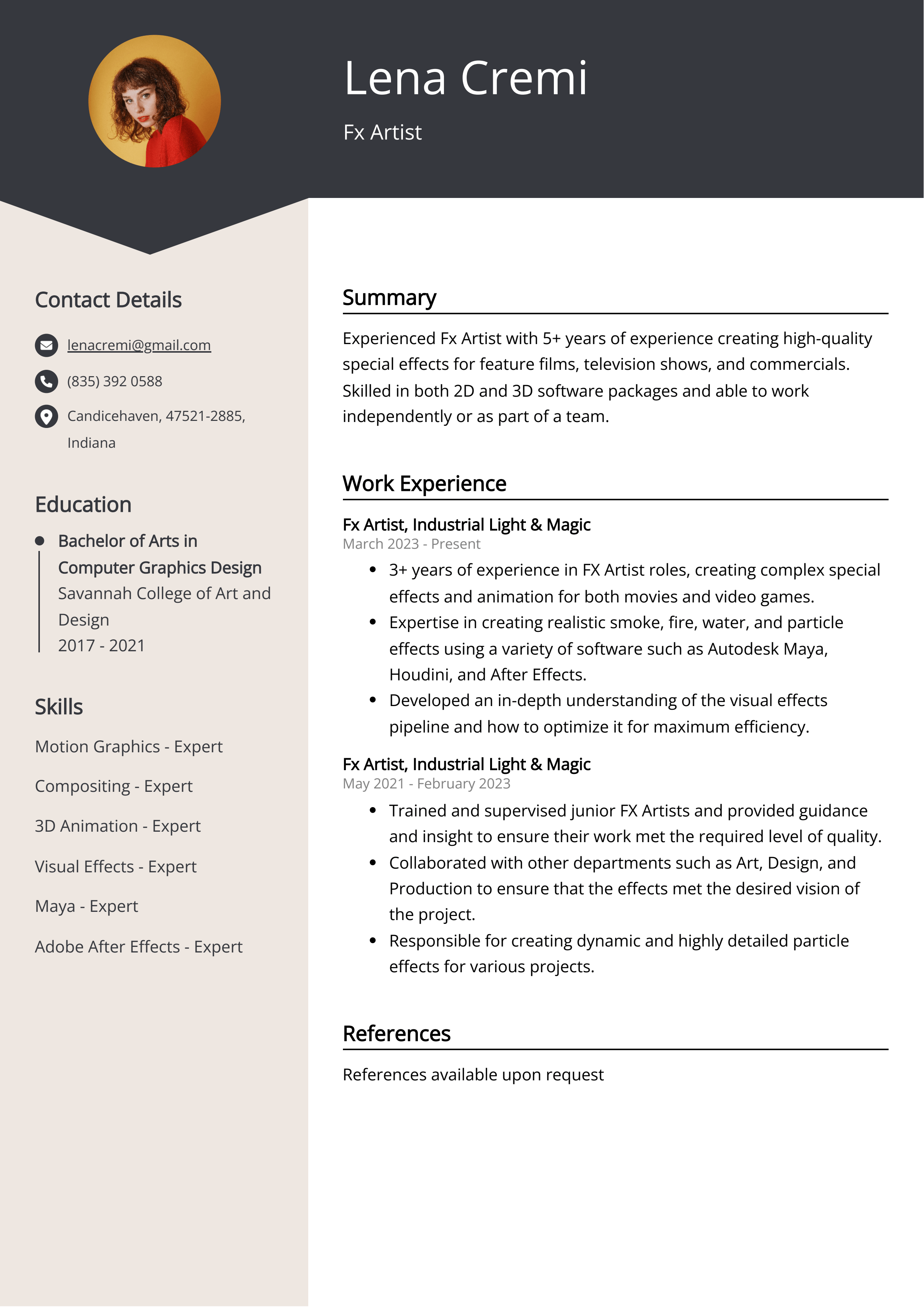 Fx Artist CV Sample & Guide [Entry Level + Senior Jobs]