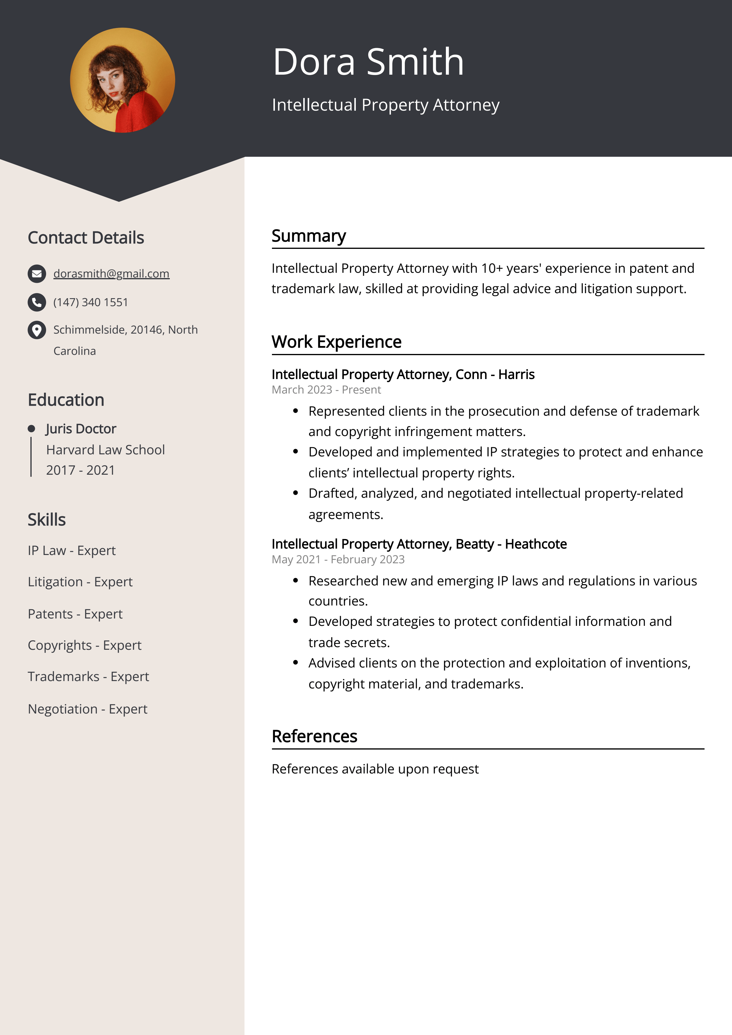 Intellectual Property Attorney CV Sample & Guide [Entry Level + Senior