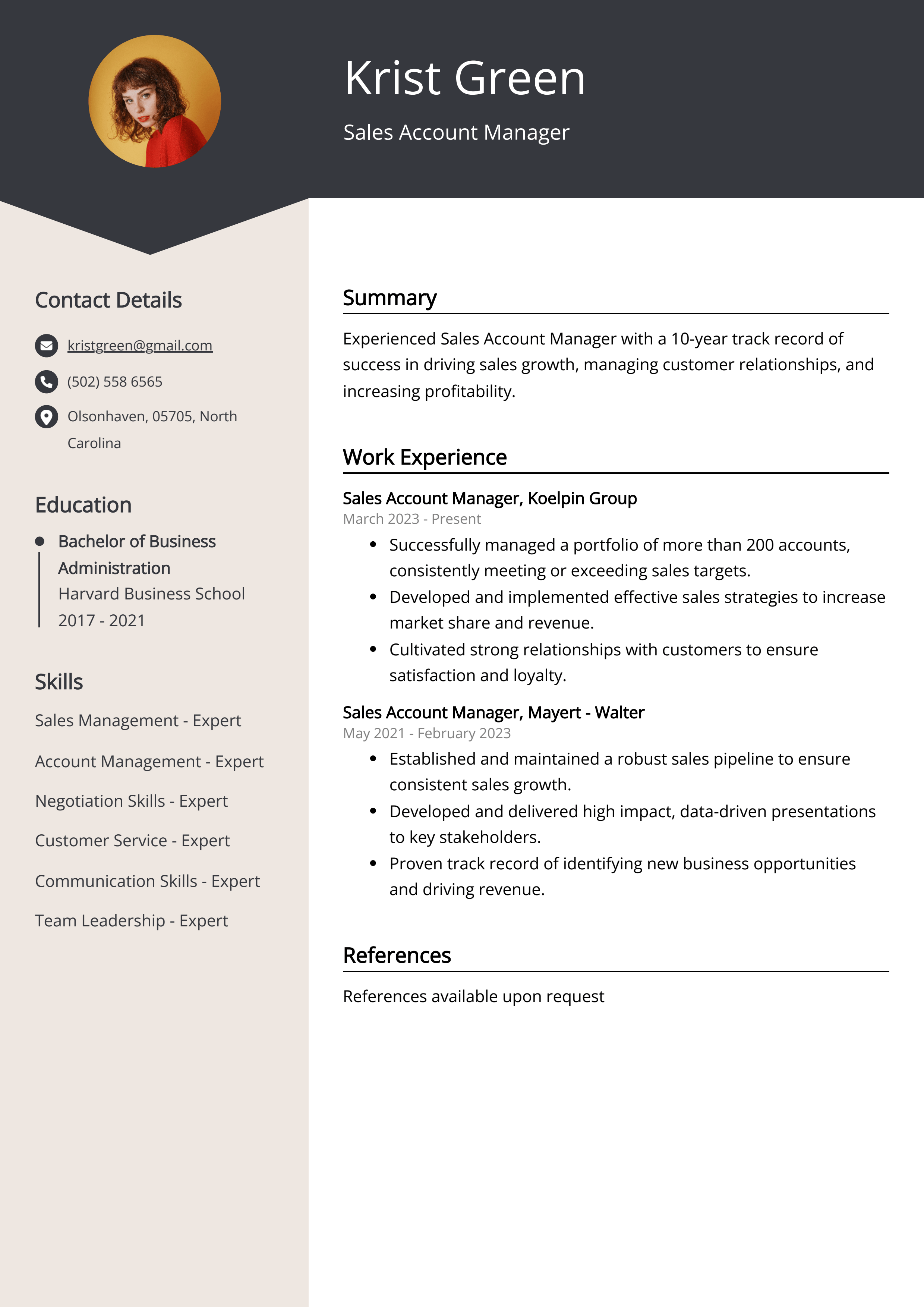 Sales Account Manager Resume Example (Free Guide)