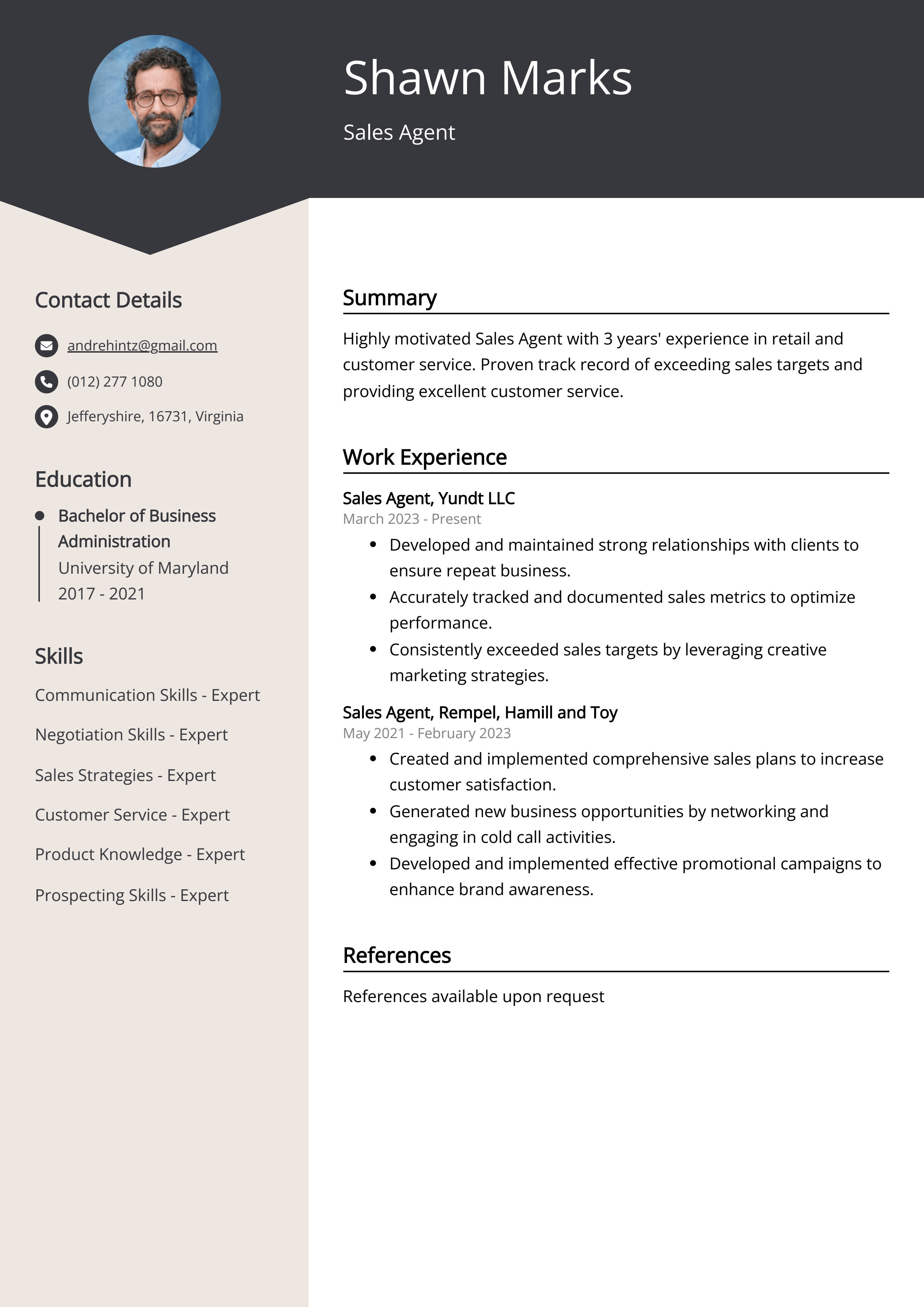 Sales Agent Resume Example (Free Guide)