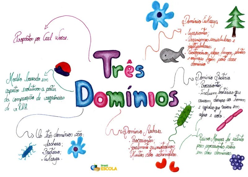 Três domínios Brasil Escola