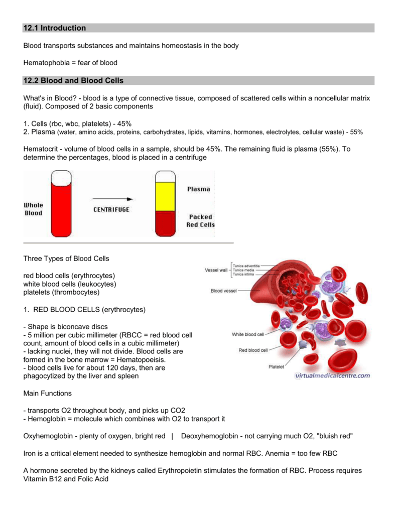 Notes Blood