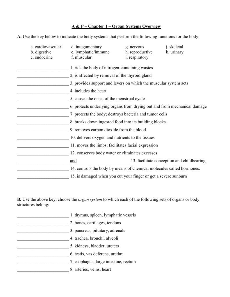 A & P Chapter 1 Organ Systems Overview