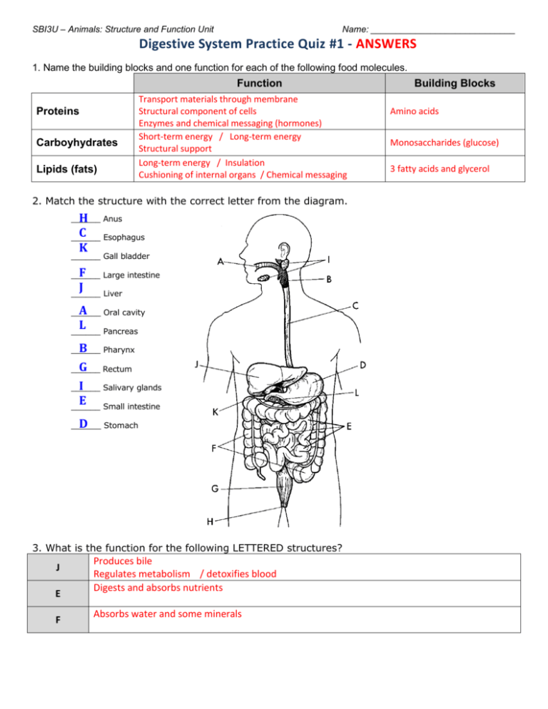 SBI3U Animals Structure and Function Unit