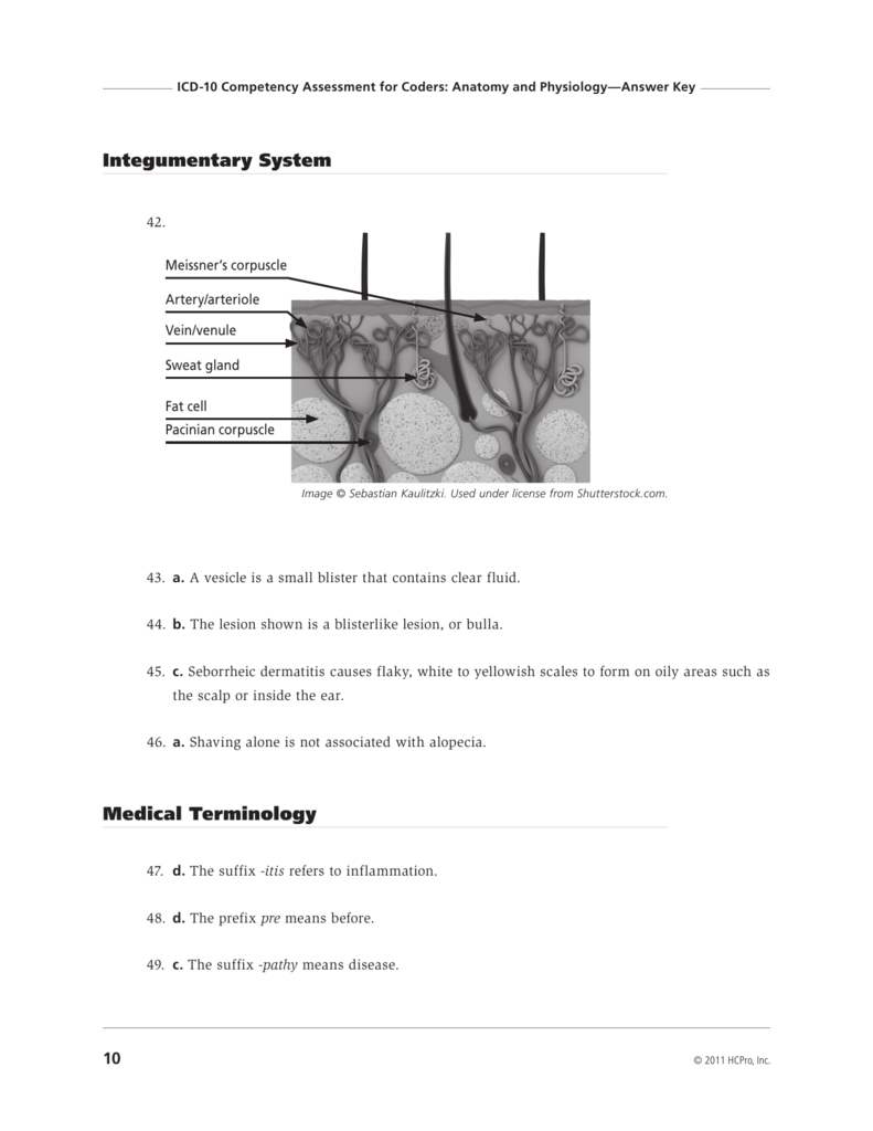 Integumentary System Medical Terminology