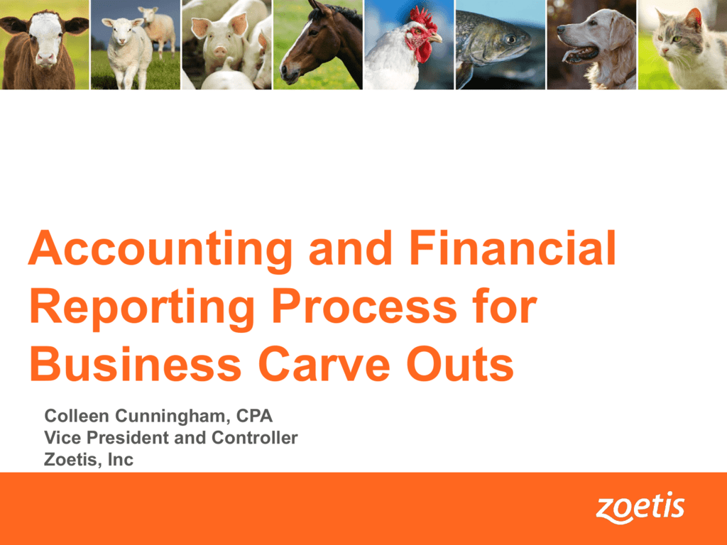 Accounting and Financial Reporting Process for Business