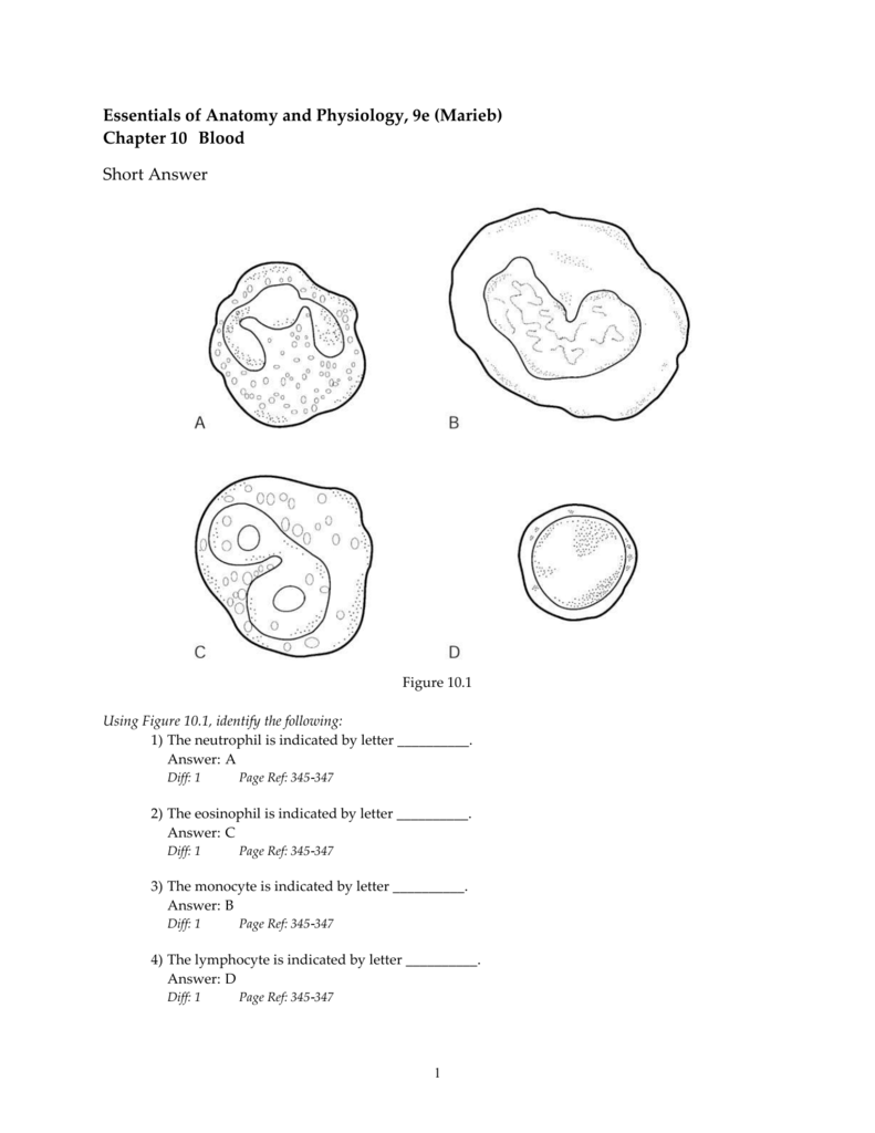 Human Anatomy and Physiology by Katja Hoehn and Elaine N.