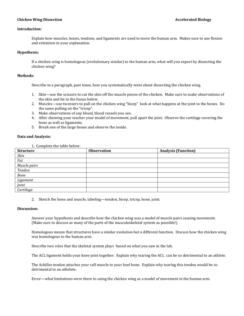Chicken Wing Dissection Lab .pdf Chicken Wing.