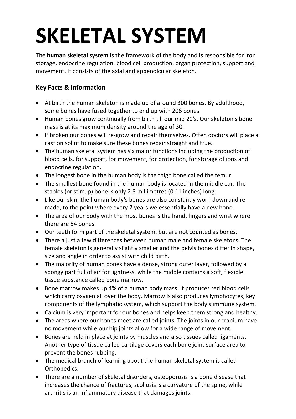 SKELETAL SYSTEM comprehension questions