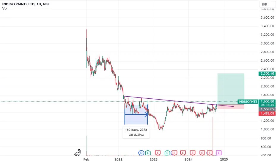 INDIAGO PAINT ready to touch IPO price 1 as 11 risk reward ratio for