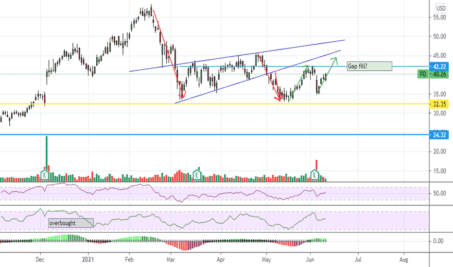 PDS Stock Price and Chart — NYSEPDS — TradingView