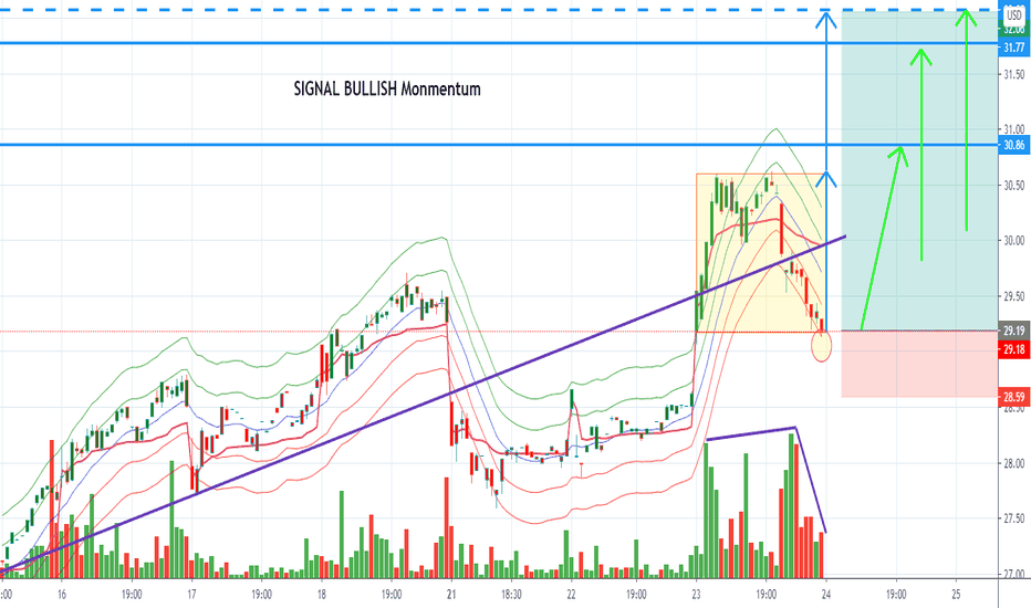 GOOS Stock Price and Chart — NYSEGOOS — TradingView