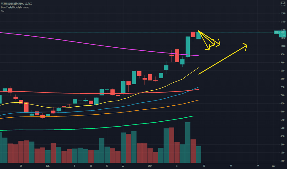 VET Stock Price and Chart — TSXVET — TradingView