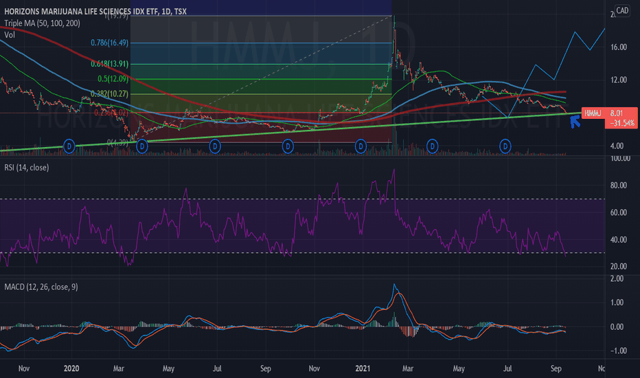 HMMJ Stock Fund Price and Chart — TSXHMMJ — TradingView