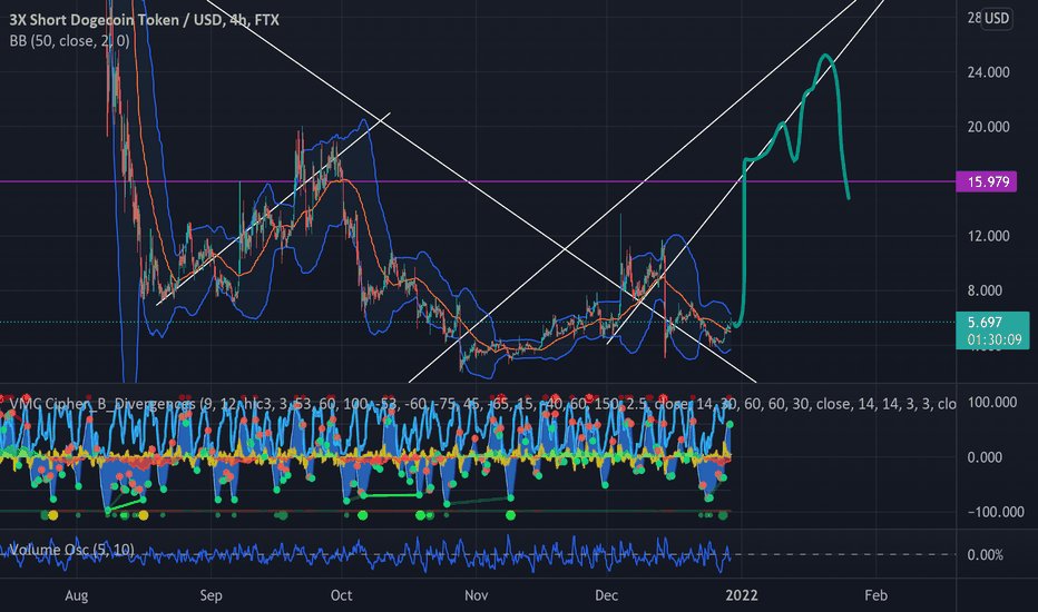 DOGEBEAR2021USD Charts and Quotes — TradingView