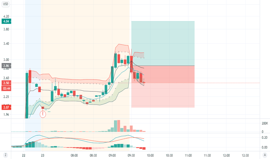 ZDGE Stock Price and Chart — AMEXZDGE — TradingView