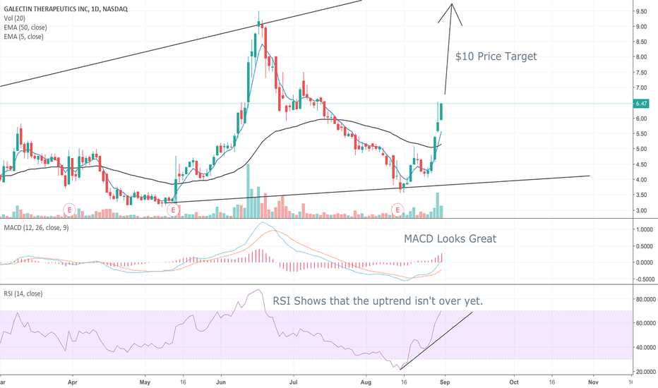 GALT Stock Price and Chart — NASDAQGALT — TradingView