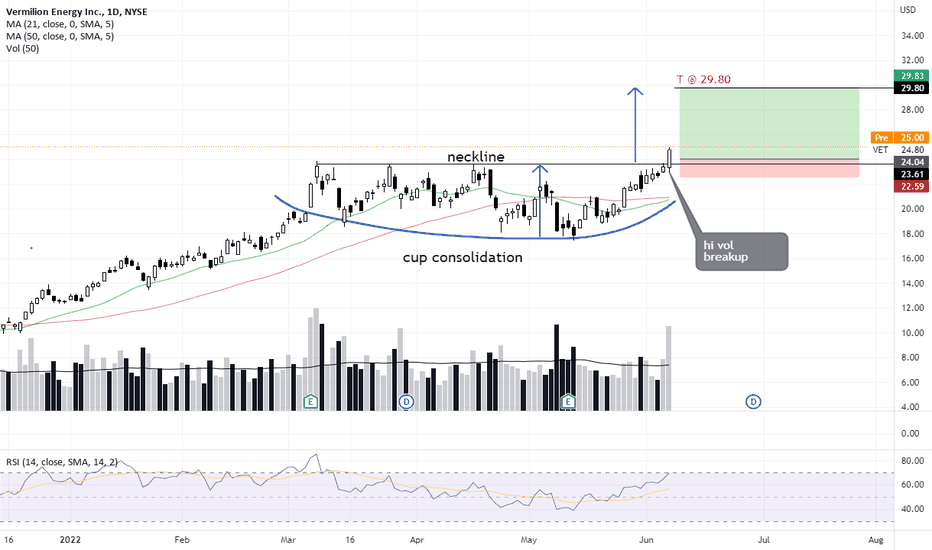 VET Stock Price and Chart — NYSEVET — TradingView
