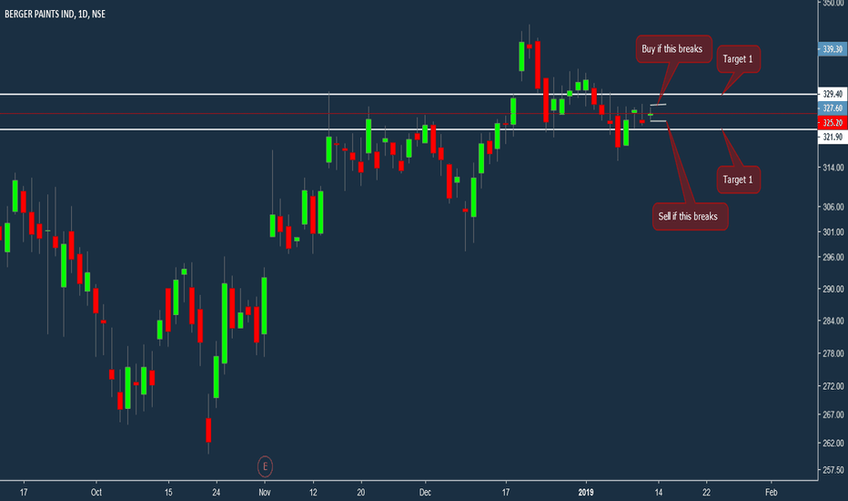 BERGEPAINT Stock Price and Chart — TradingView — India