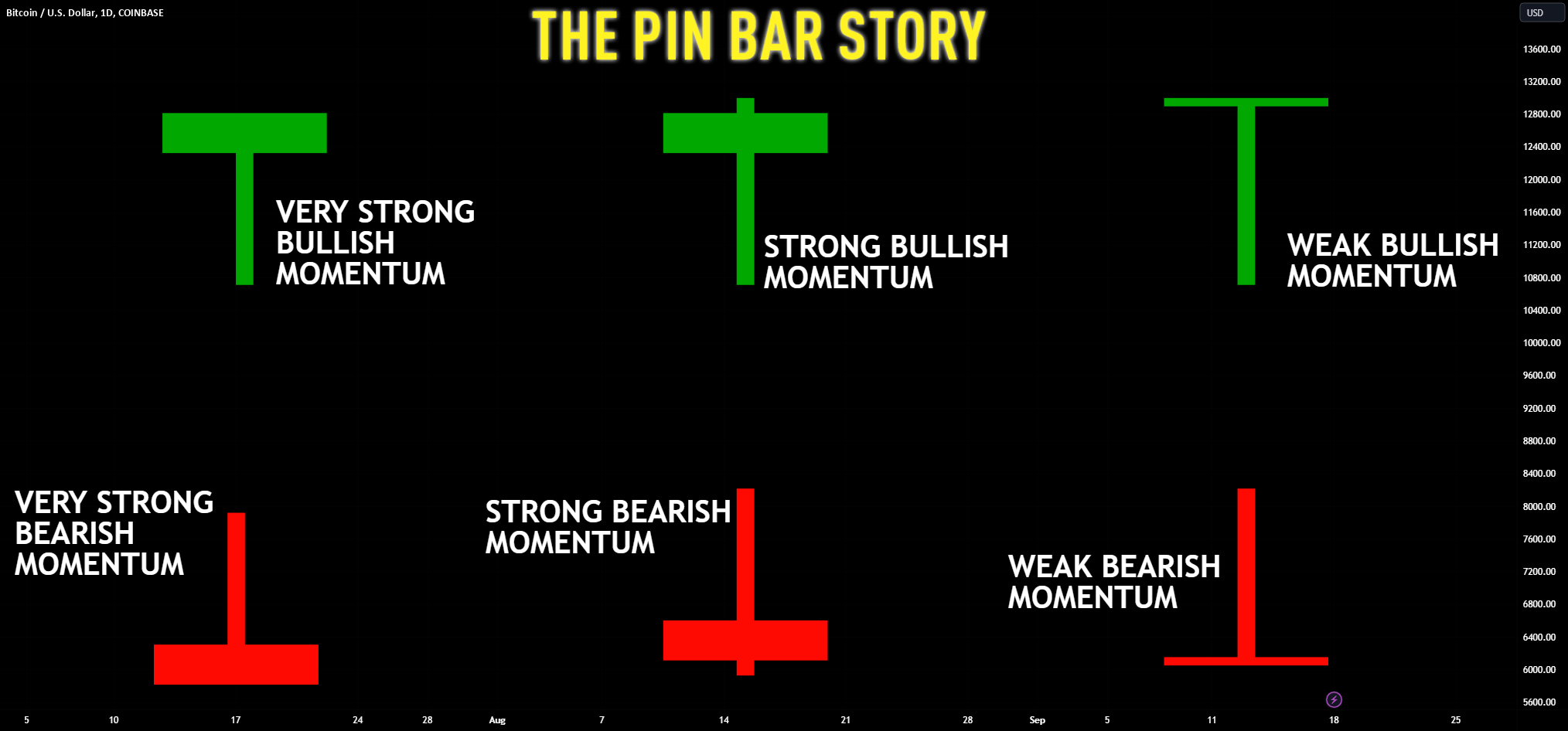 Mastering the Pin Bar Candlestick Pattern in Forex 🕵️‍♂️📈 for COINBASE